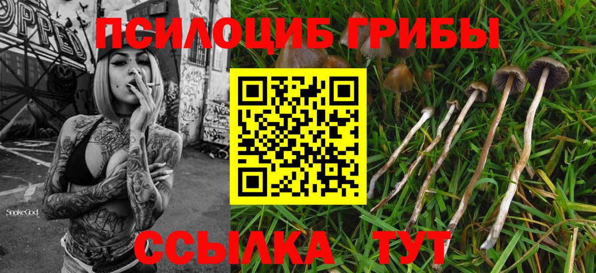 Псилоцибиновые грибы Psilocybe Учалы