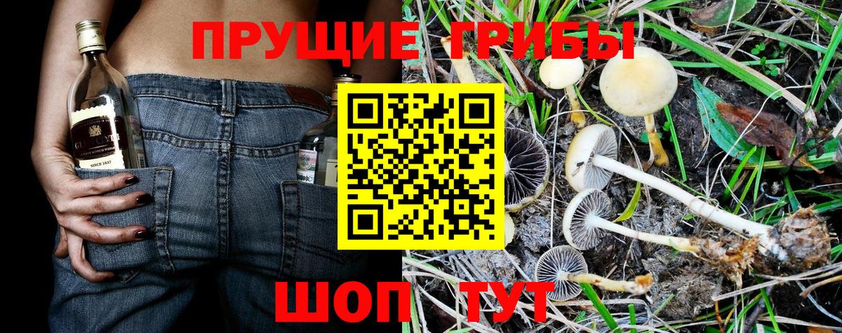 Галлюциногенные грибы Magic Shrooms  Вход с VPN  Учалы 